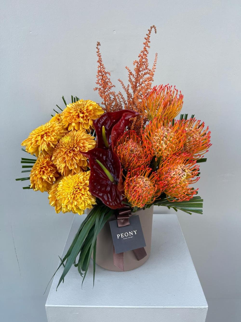 Leucospermum Design
